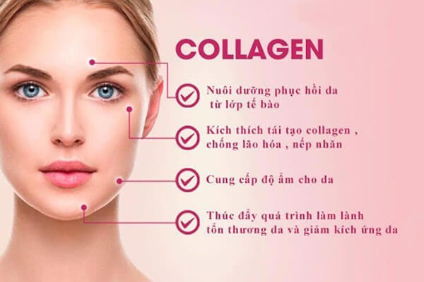 Collagen là thành phần không thể thiếu của làn da