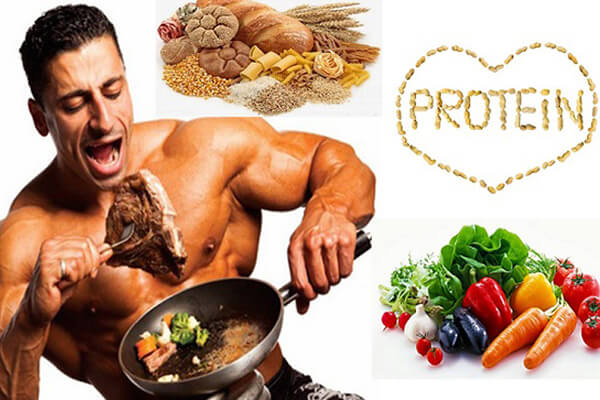 Để xây dựng cơ bắp bạn cần tiêu thụ nhiều protein hơn so với lượng protein mà cơ thể bạn phân hủy