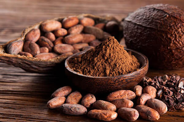 Cacao mang lại nhiều lợi ích sức khỏe