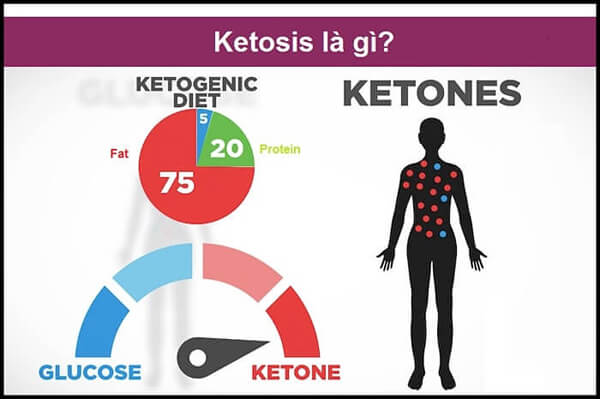 Ketosis là một trạng thái trao đổi chất hoàn toàn bình thường của cơ thể