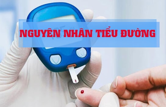 Nguyên nhân bệnh tiểu đường