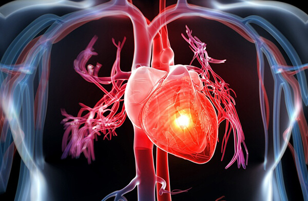 Chất điện giải giúp duy trì hệ thống tim mạch một cách ổn định