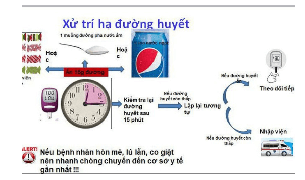 Cách xử trí khi hạ đường huyết ở người tiểu đường