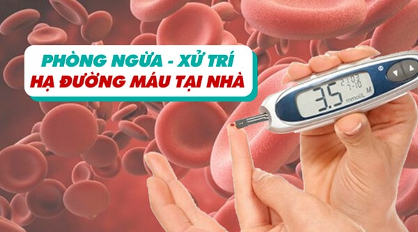 Hạ đường huyết ở người tiểu đường