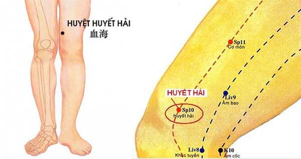 Huyệt huyết hải giảm béo